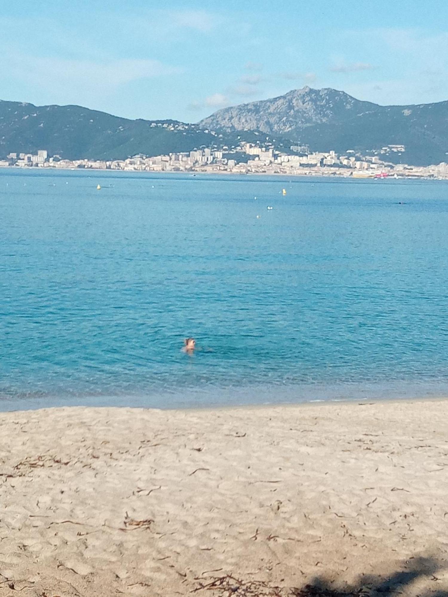 Appart 5 Personnes A Porticcio Avec 2 Piscines Materiel Enfant ,Bebe Clim Exterior foto